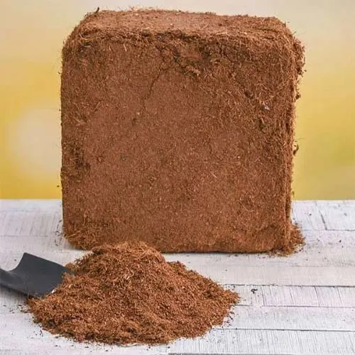 Coco Peat Supplier in Qatar — Jazeera International